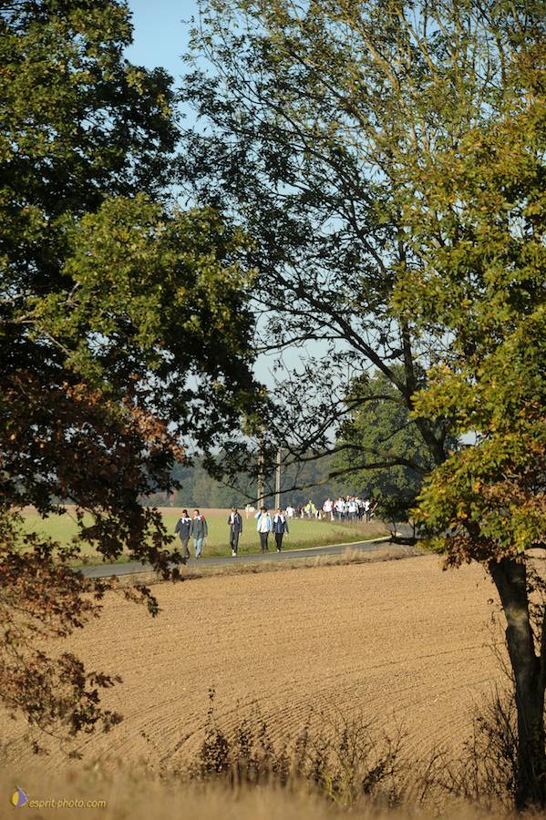 Nom de l'image : D30083146_1_(c)Norbert-JUNG — Description :